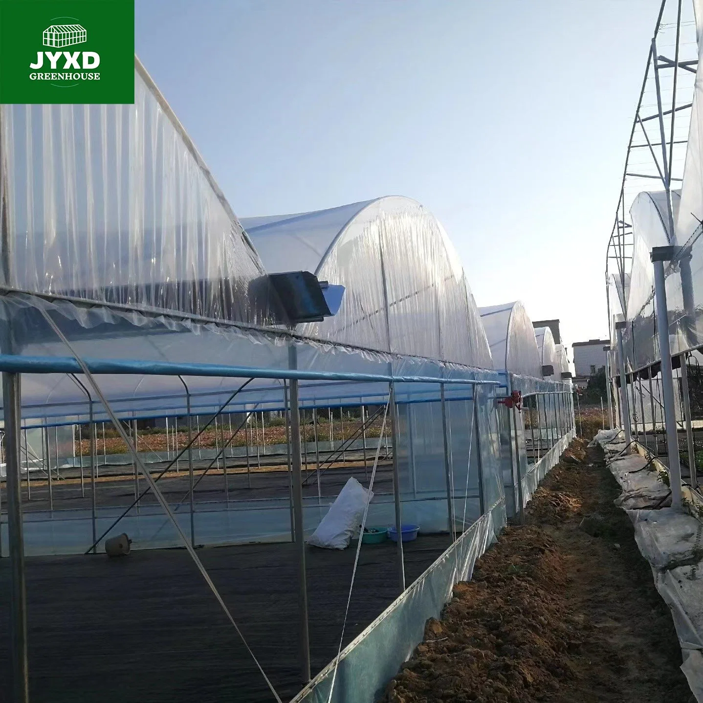 Modern Agriculture Plastic Film Multi-Span Greenhouse for Vegetables/Fruits/Flowers/Cucumber/Lettuce/Pepper/Strawberry/Blueberry