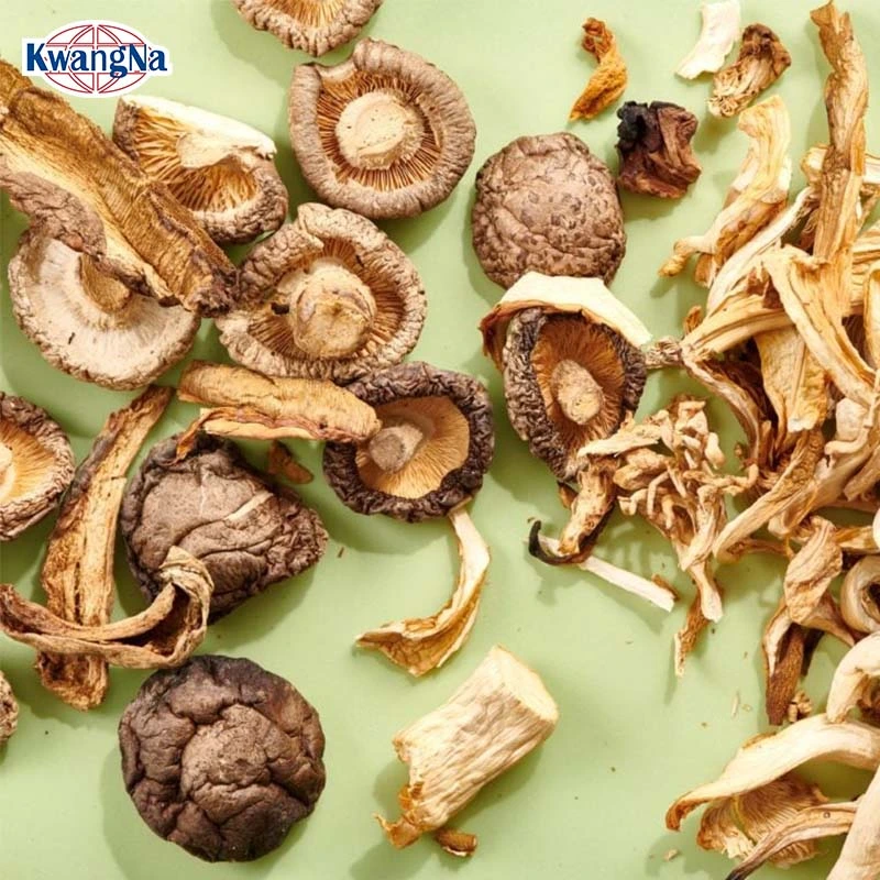 China secos cogumelo Shiitake com1kg grossistas