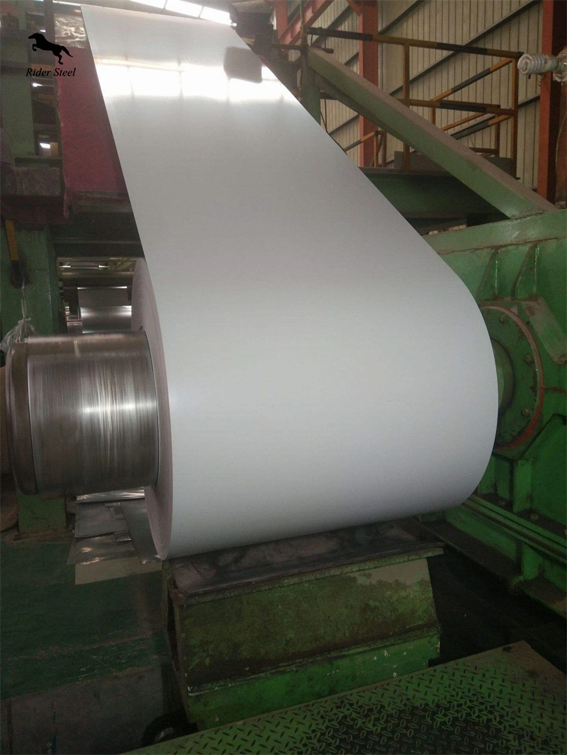 750, 900, 1000, 1220, 1250mm Popular Building Materials Galvanized Steel Coils