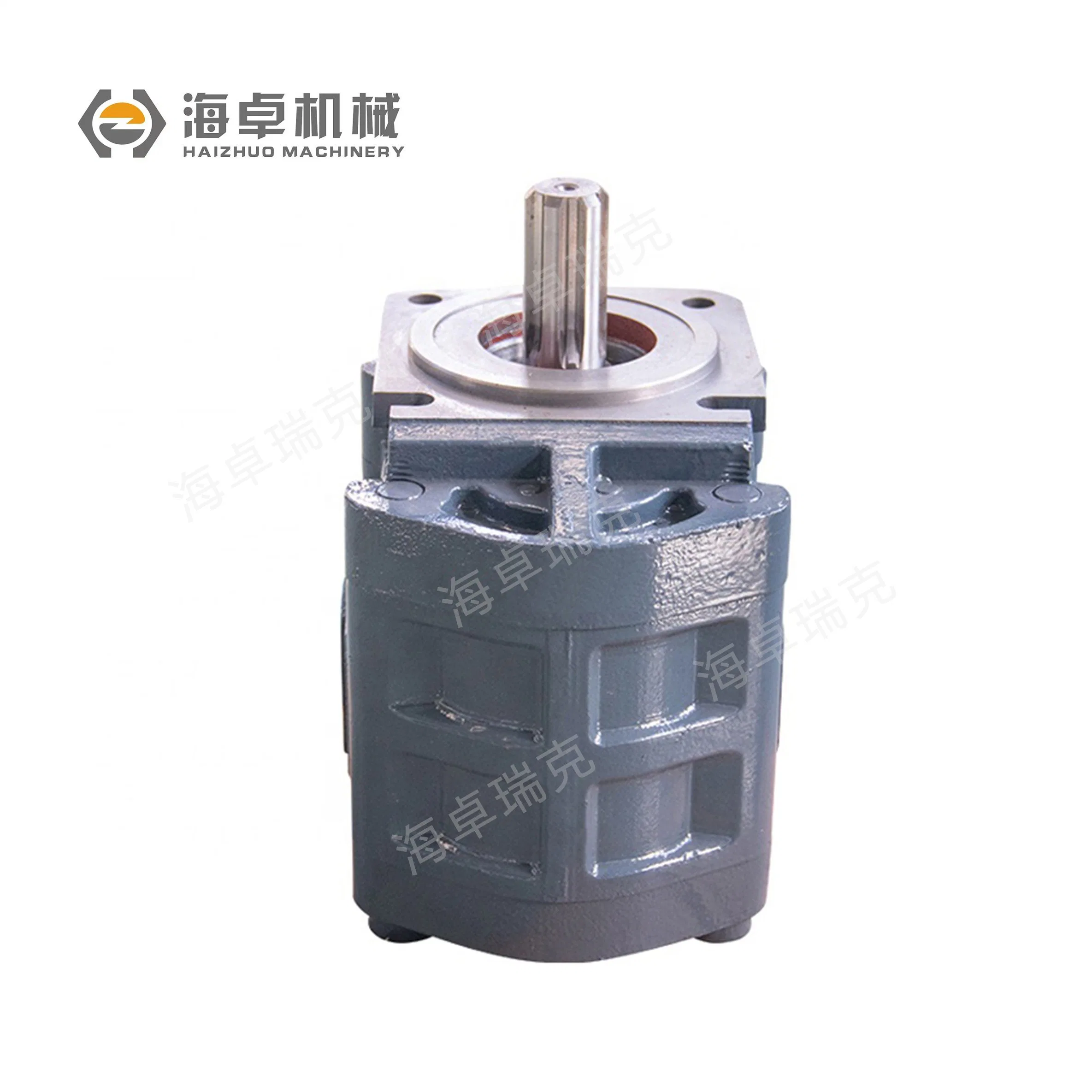 Cbgj3100 Hydraulikgetriebepumpe für Radlader Changlin China
