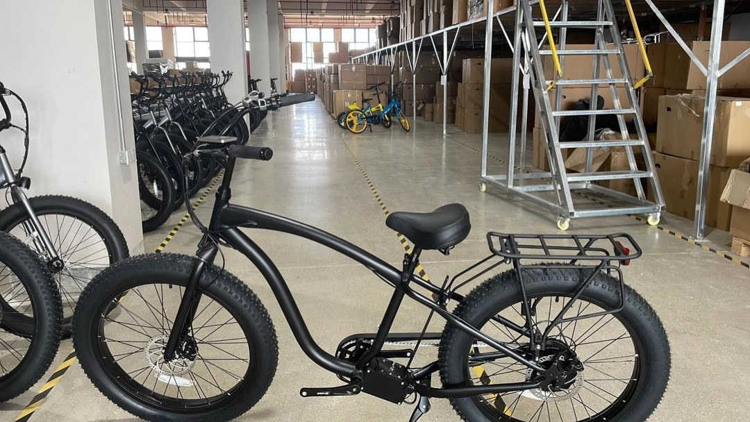 China 750W neumático Fat Ebike bicicleta eléctrica para el hombre con la suspensión completa