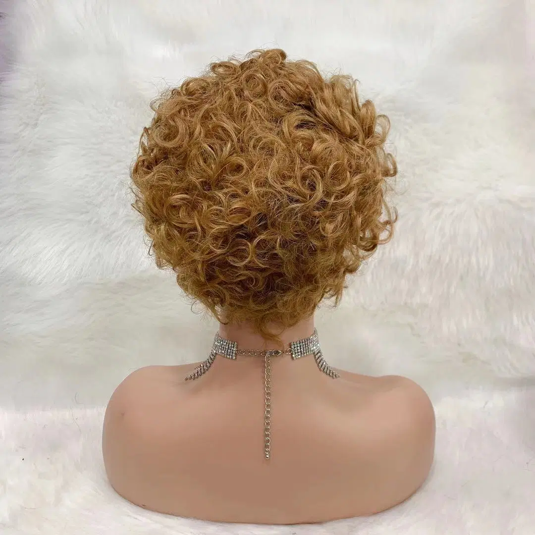 Wholesale/Supplier Hair Virgin Human Hair Kinky Curly Hair Pixie Wigs