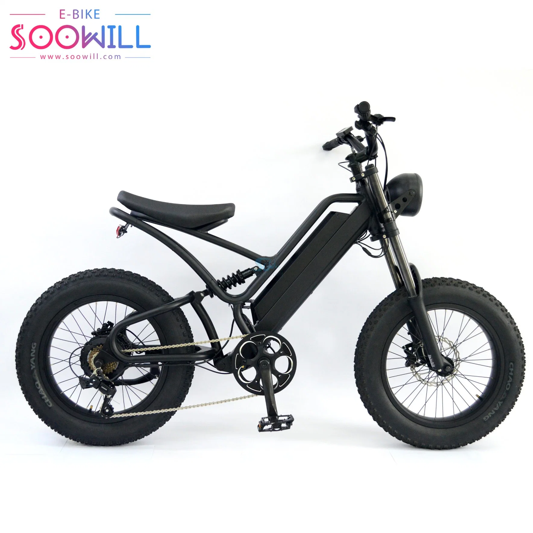 Your Own Logo 100% Pure Natural Source >80 Km by PAS Offroad Electric Bike