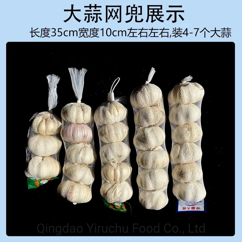 Selected 5cm 5.5cm Pure White Fresh Garlic