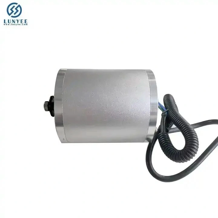 1600-3000W High Power Elektro Fahrrad MID Motor für 3 Rad Fahrzeuge