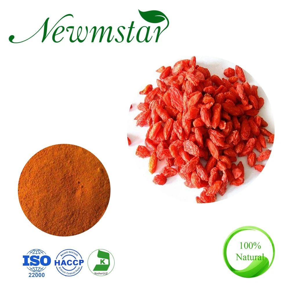 Plant Extract 50%Polysaccharide Lycium Barbarum Extract 10: 1barbary Wolfberry Fruit Extract Goji Wolfberry Extract