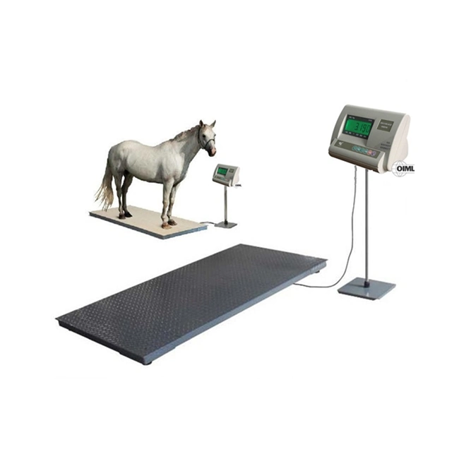 Cattle & Agricultural Livestock Weighing Systems Horse Weighbridge Price Stainless Steel for Small Animal Scale