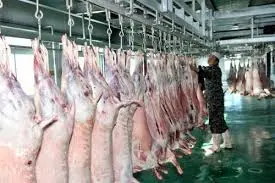 Slaughter Processing Equipment Goat Cow Pig Intestine Casing Tripe Cleaning Washing Machine