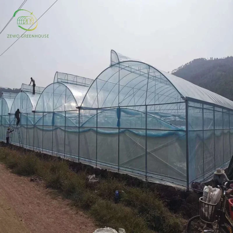 Low Cost Arch Multi Span Poly Film Greenhouse with Ventilation System for Vegetable Farming