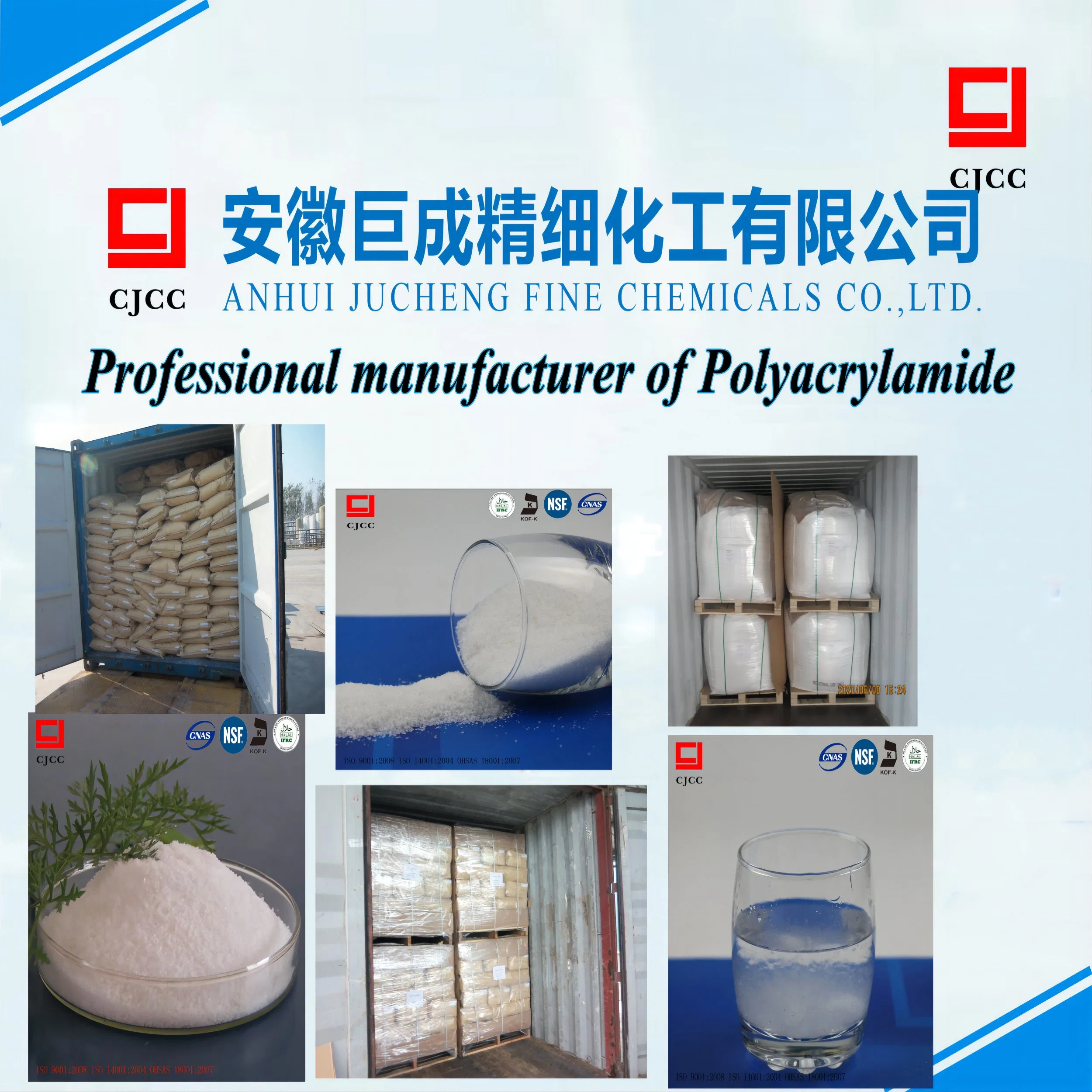 Dry Powder Polyacrylamide Flocculant Pulp Additives Papermaking Retention Aids ISO-45001