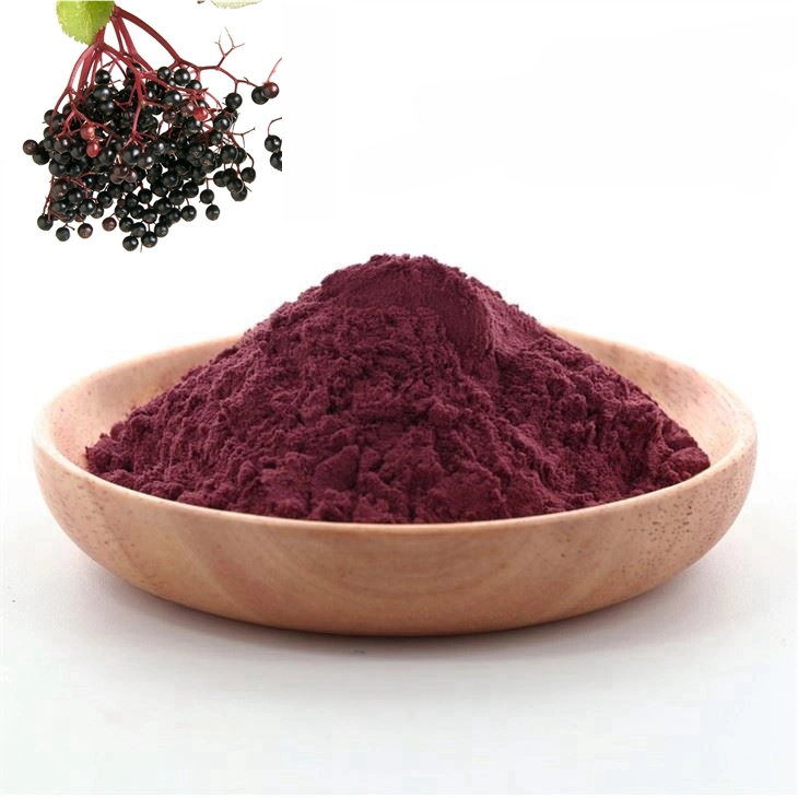 Hot Selling Black Elderberry Extract Powder / Elderberry Fruit Extract Powder