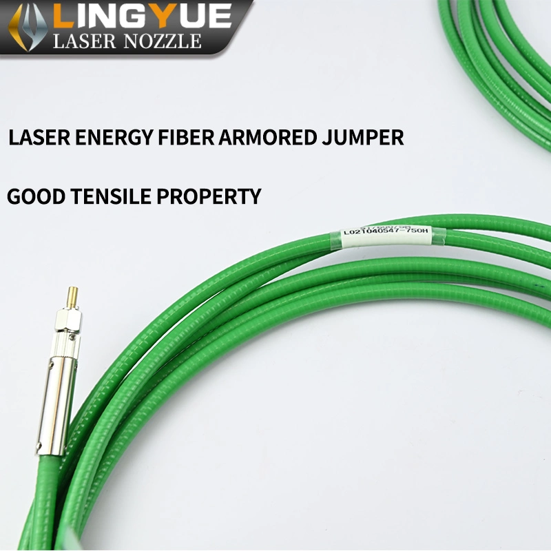 D80 Energy Fiber Cable St200/300/400/600d80 Laser Energy Fiber Armored Jumper