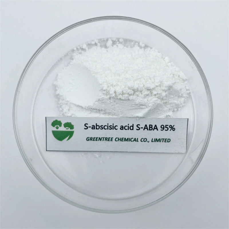 Plant Hormone Abscisic Acid S-ABA Powder CAS 21293-29-8 Abscisic Acid 95%