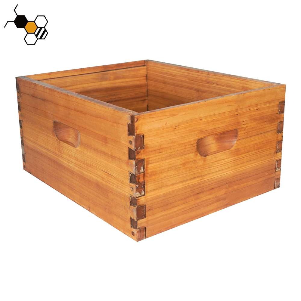 Bee Hive Box OEM/ODM 8 10 Frame Beehive Box