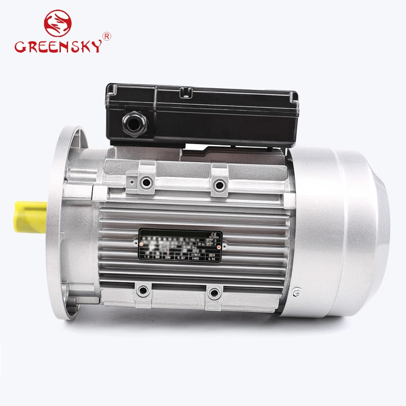 5HP 3.7kw Single Phase Capacitor Started Electric Motor