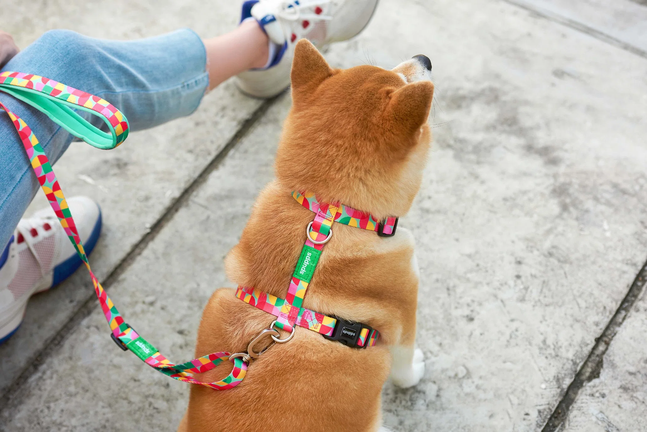 Trato personalizado y adaptado reflectante ajustable H Arnés para perros grandes con la correspondiente collar y correa Set