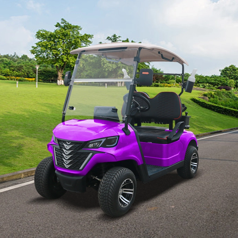 Nouveaux produits Nouveau Trend 2 Seater Forge G2 Golf électrique Voiturettes de golf Buggy