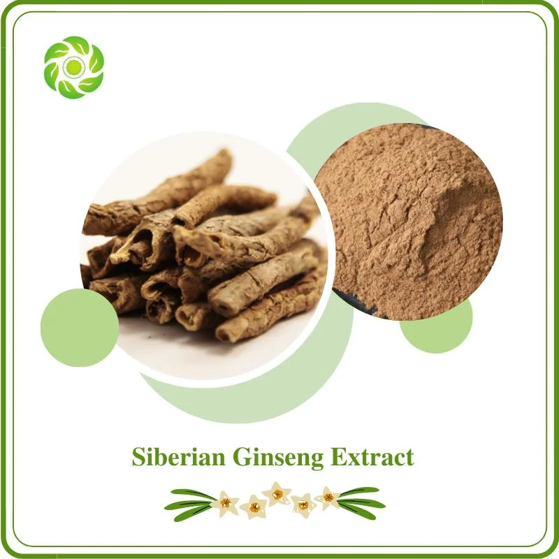 Bienestar mundial ISO Biotech&amp;certificado FDA Eleuthero Ginseng, la Federación de Ginseng, Ginseng Espinosa 0,8%-1,5% Eleutherosides B+E) El Extracto de Ginseng Siberiano