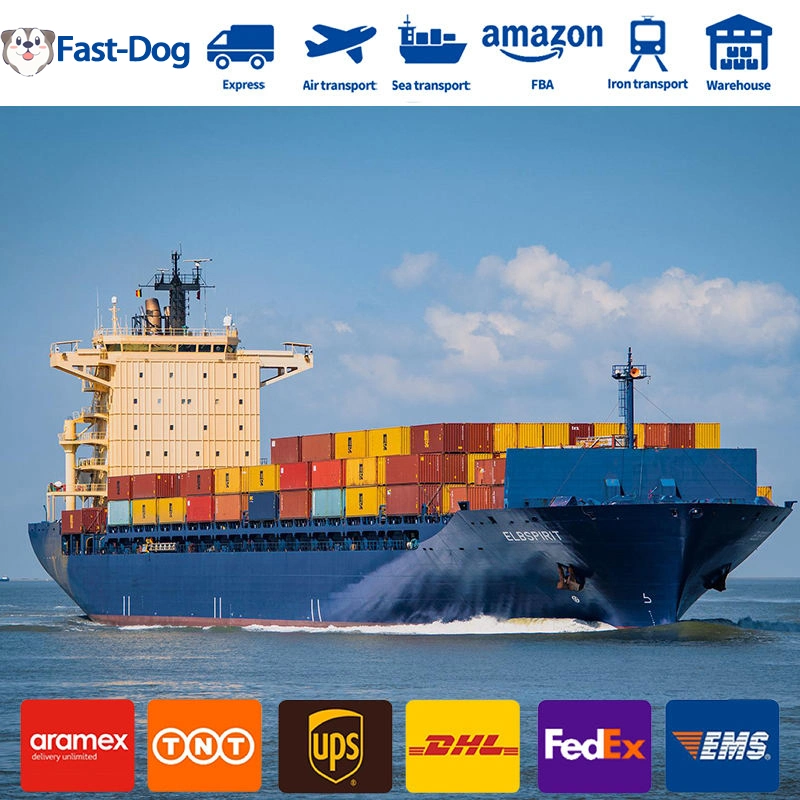 China Lieferanten billiger Versand Amazon DHL / UPS / TNT / FedEx / EMS Express
