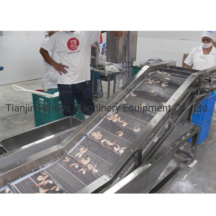 1000kg/H Stainless Steel Shrimp Sorting Machine Grading Machine