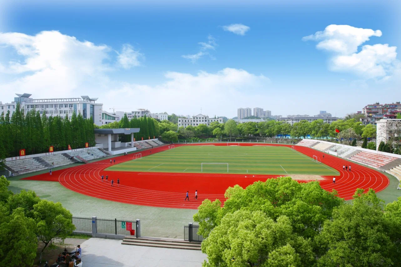 Hot Sale Composite Athletic Running Track for Sports Flooring/ Playground with Shock