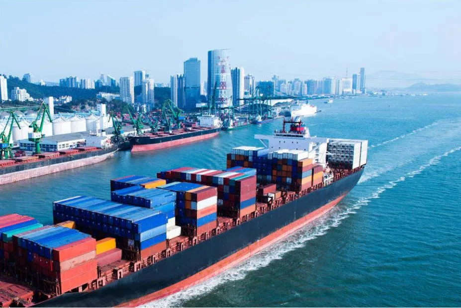 Ksd Freight Forwarder Provides Indian Ocean Shipping with professional Shipment Service