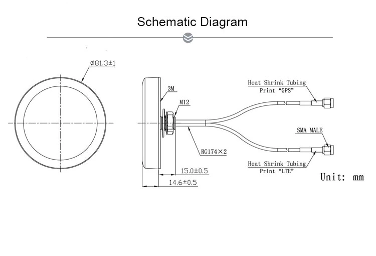 Customized High quality/High cost performance  GPS LTE 4G Combination Antenna for Car