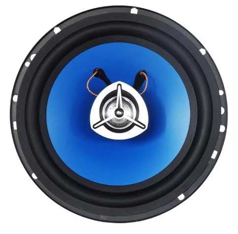 haut-parleur fort Ts-S0037-1 de subwoofer Stronge de pouvoir de 6.5 '' de haut-parleur élevé de véhicule