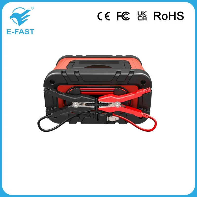 12V 24V Auto Motorcycle Truck Charger with 2ah-150ah Lead Acid Battery