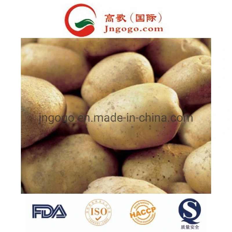 China New Crop Fresh Potato Supplier (50-200G)