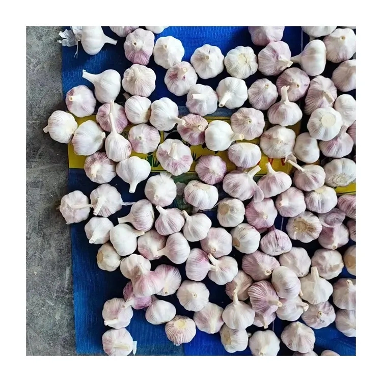 Red Garlic Newest Crop Normal White Garlic High quality/High cost performance Wholesale/Supplier 25g Net Bag