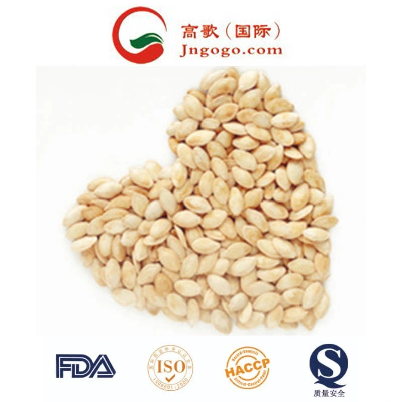 New Crop Shine Skin Pumpkin Seeds Roasted Pumpkin Seeds for Exporting