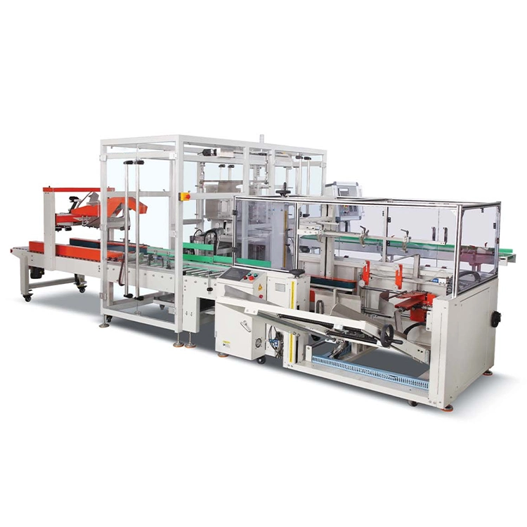 Automatic Box Case Carton Erecting Packing Machine Fully Auto Carton Erector for Small Box