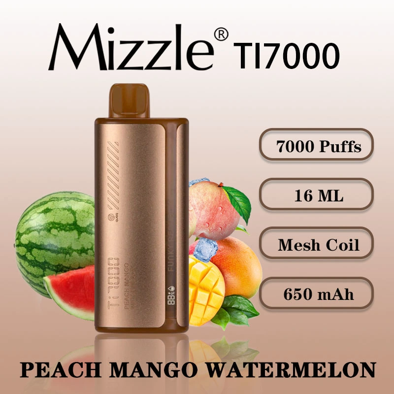 2023 OEM E Cigarette Funky Republic Ti7000 7000 Puffs Vaporizer Screen Display Vaporizer Disposable/Chargeable Vape Pen