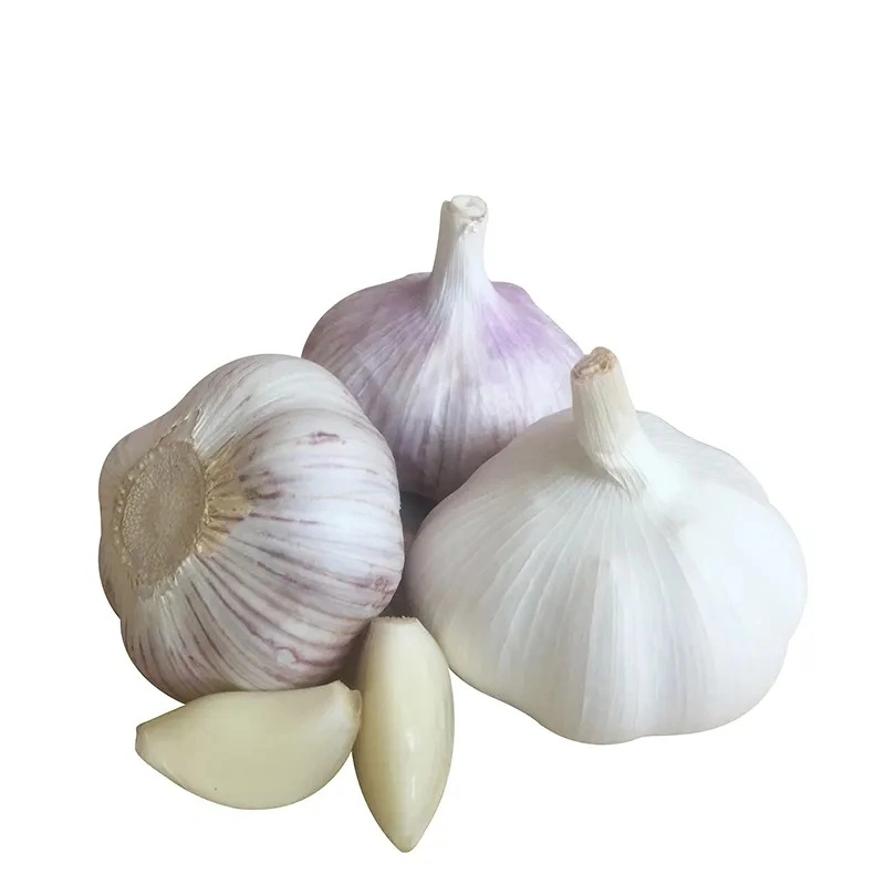 Garlic Packed with 3.2-3.8kg in Bag Garlic Price for UAE Qatar