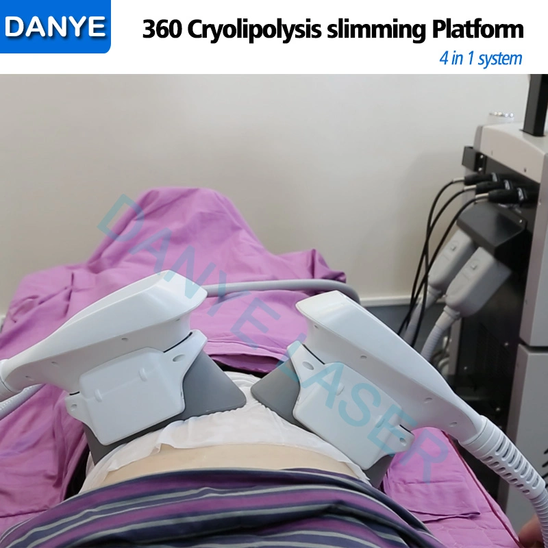 заводская цена высокое качество 360 Cryolipolysis органа формировании лазерного оборудования красоты