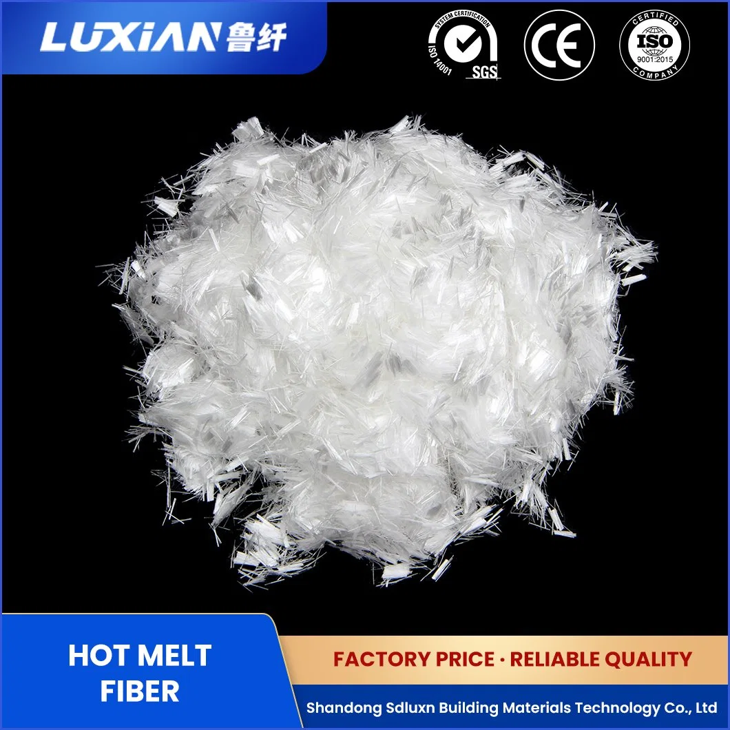 Sdluxn Monofilament Free Sample Synthetic Resin Lx Dr-160 Composite Hot Melt Fiber China 3 4 6 8 Length (mm) Explosion-Proof PP Staple Flber Manufacturing