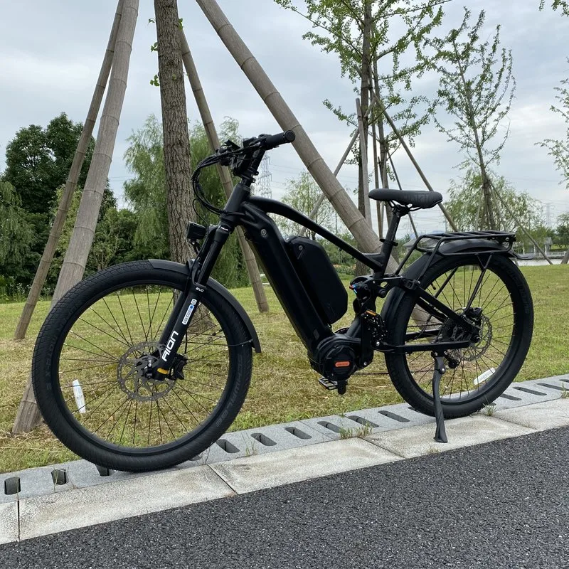 48V1000W Long Range Mountain Electric Bicycle