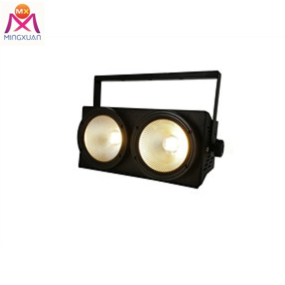 En el interior de alta calidad 2 ojos COB 2pcs*100W espectador Lámpara de luz LED de la etapa de la luz de captura de DJ PAR