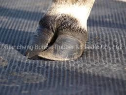 Cow Rubber Mats / Rhombus Rubber Mat for Wholesale/Supplier