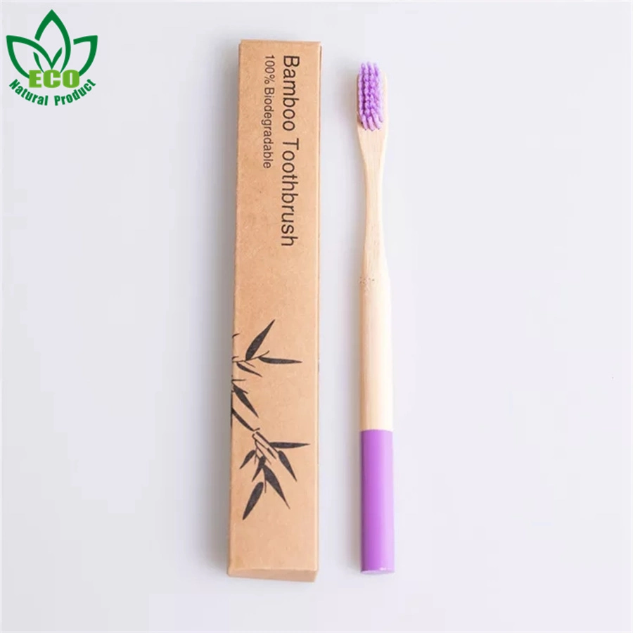 China Product Travel Toothbrush Hotel Disposable Round Handle Color Household Hospitality Toothbrush