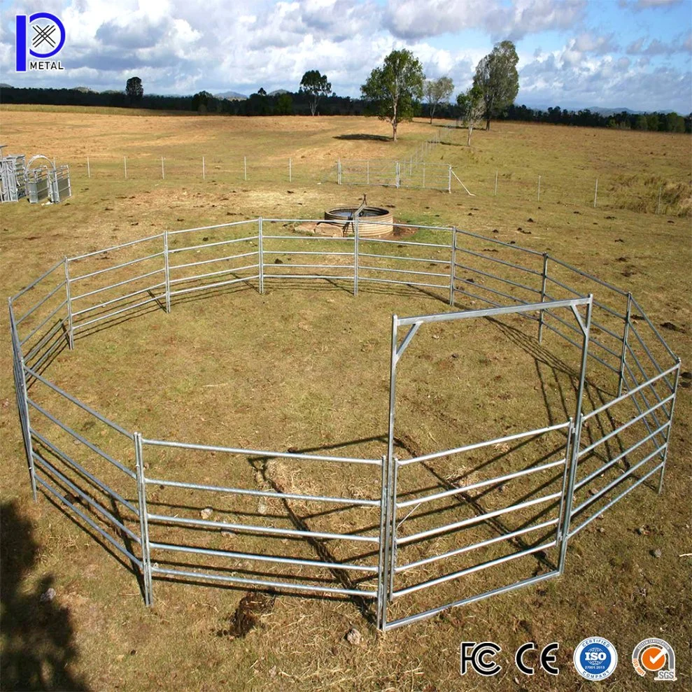 Pengxian Steel Pipe Fence Mesh China Atacadistas simples Farm Fence Trilhos quadrados de 50 x 50 mm porta de gado dupla