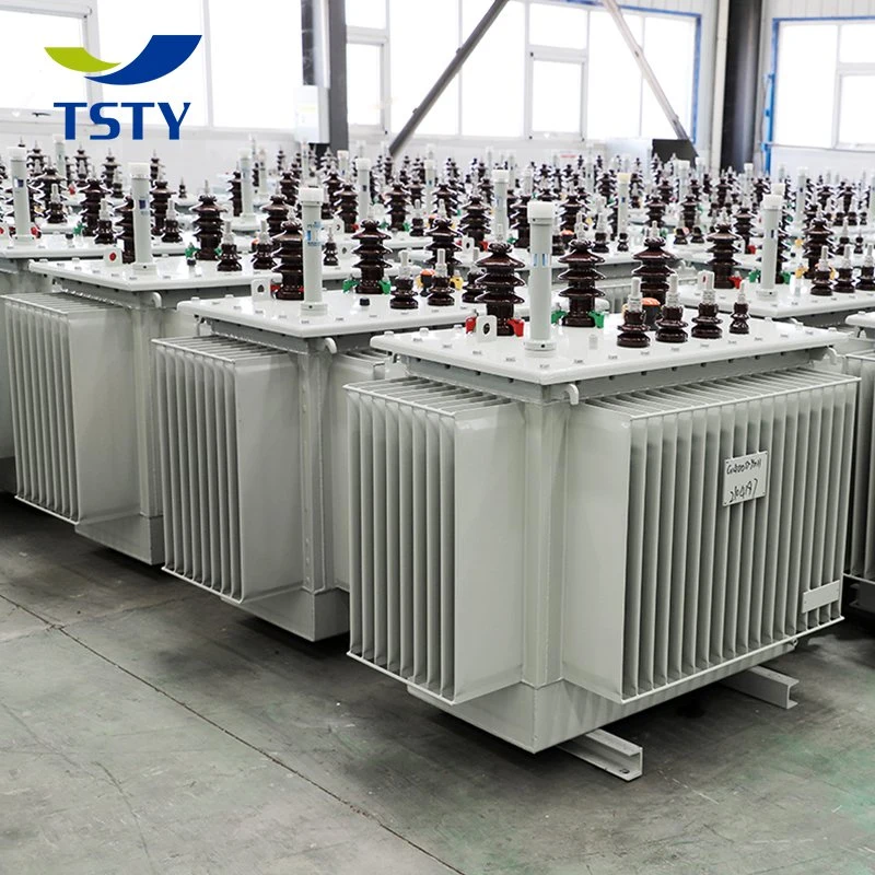 S13 315kVA 3150kVA Full Sealed 10kv 11kv High Voltage Low Voltage Outdoor Distribution China Supplier Onan Transformer with Customized Service