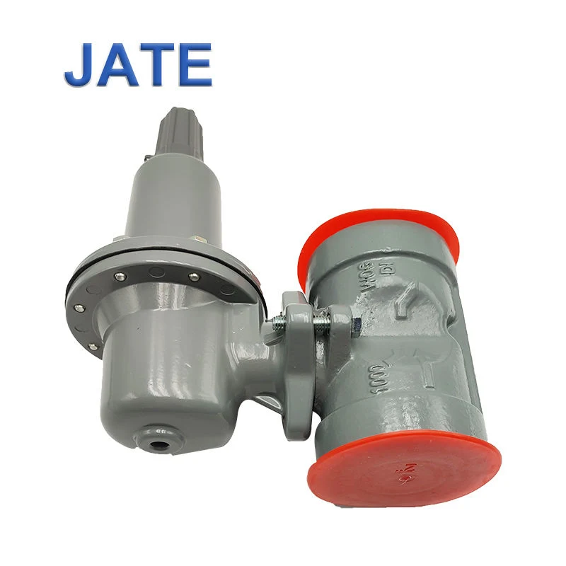 New and Original Fisher 627-1217-29998 (627-576) Self-Operated Pressure Reducing Regulator Valve for Gas Burner