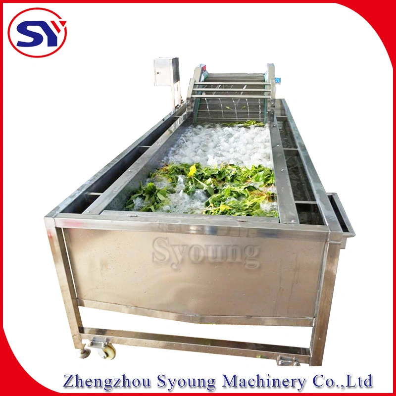 Air Bubbling Water Commercial Washer for Fruit and Vegetable Processing Line