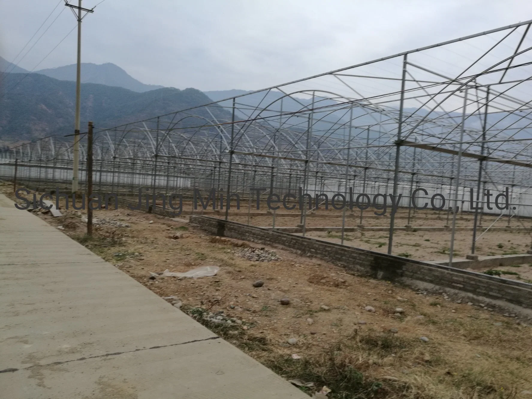 Galvanized Steel Frame Greenhouse Single Span PE Film Greenhouse for Agriculture Low Cost Tunnel Greenhouse