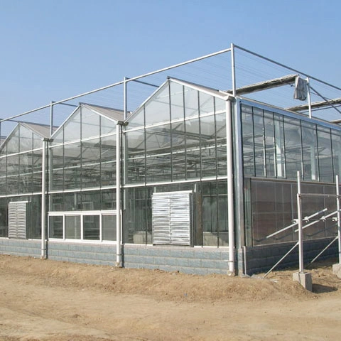 Vegetables/Flowers/Fruits Glass Grow Tent Garden Commercial Hydroponic Systems Multi Span Greenhouse