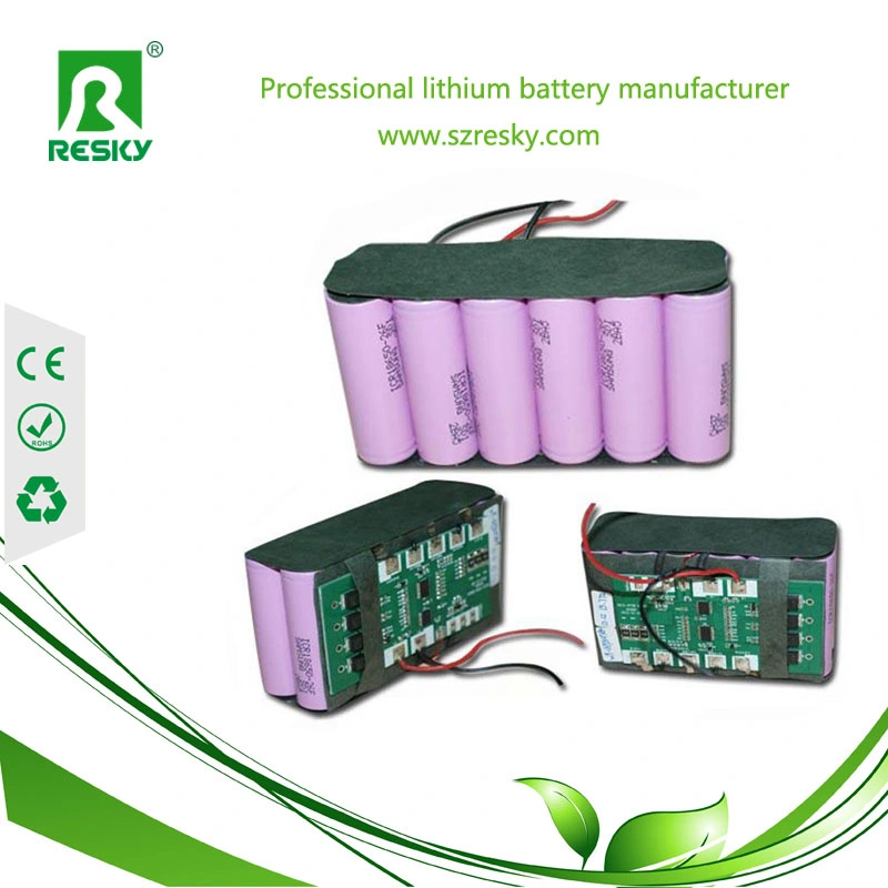 Rechargeable 7.4V 2s 8800ah Lithium Ion Battery Packs for Back up