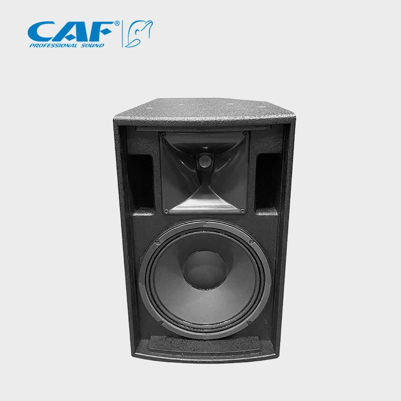 10 Inch Professional Full Frequency Audio System