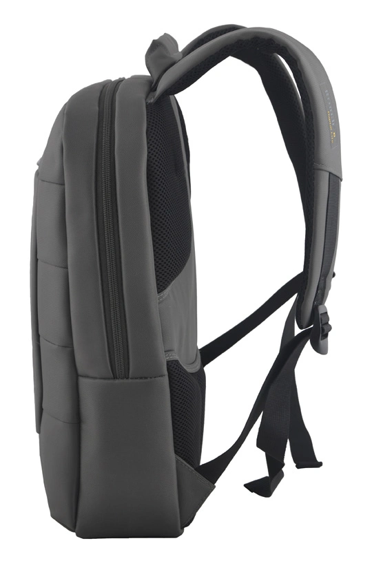 Fashion Backpack Computer Laptop Bag (SB6608)